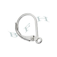 Sterling Silver Leverback Earring 16634-SS