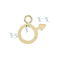 14K Male Sign Charms 26270-14K
