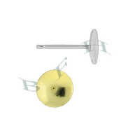 14K Flat Back  Pearl Earring 3999-14K
